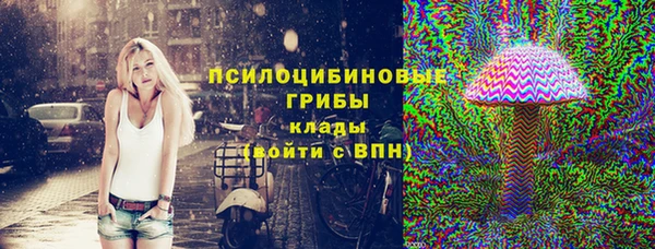 не бодяженный Приозерск