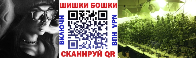 Конопля сатива  Купить закладки  Россошь 